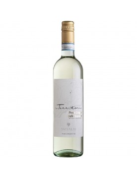 Pinot Grigio delle Venezie DOC by Cantine Salvalai 2021