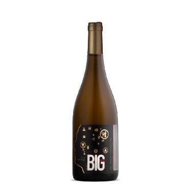 Chardonnay Select VQA by Big Head 2020 | Wine Online