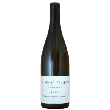 Coteaux Bourguignons En Buzigny Blanc by Pierre Boisson 2022 | Wine Online