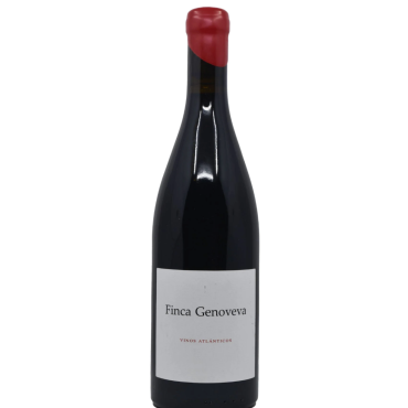 Goliardo Caiño Tinto by Bodegas Forjas del Salnes 2023 | Wine Online
