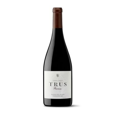 Ribera del Duero Reserva (SAVE $240) by Bodegas Trus 2017