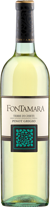 Pinot Grigio Terre di Chieti by Fontamara 2024